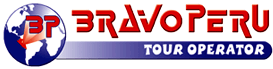 Logo Bravo Peru